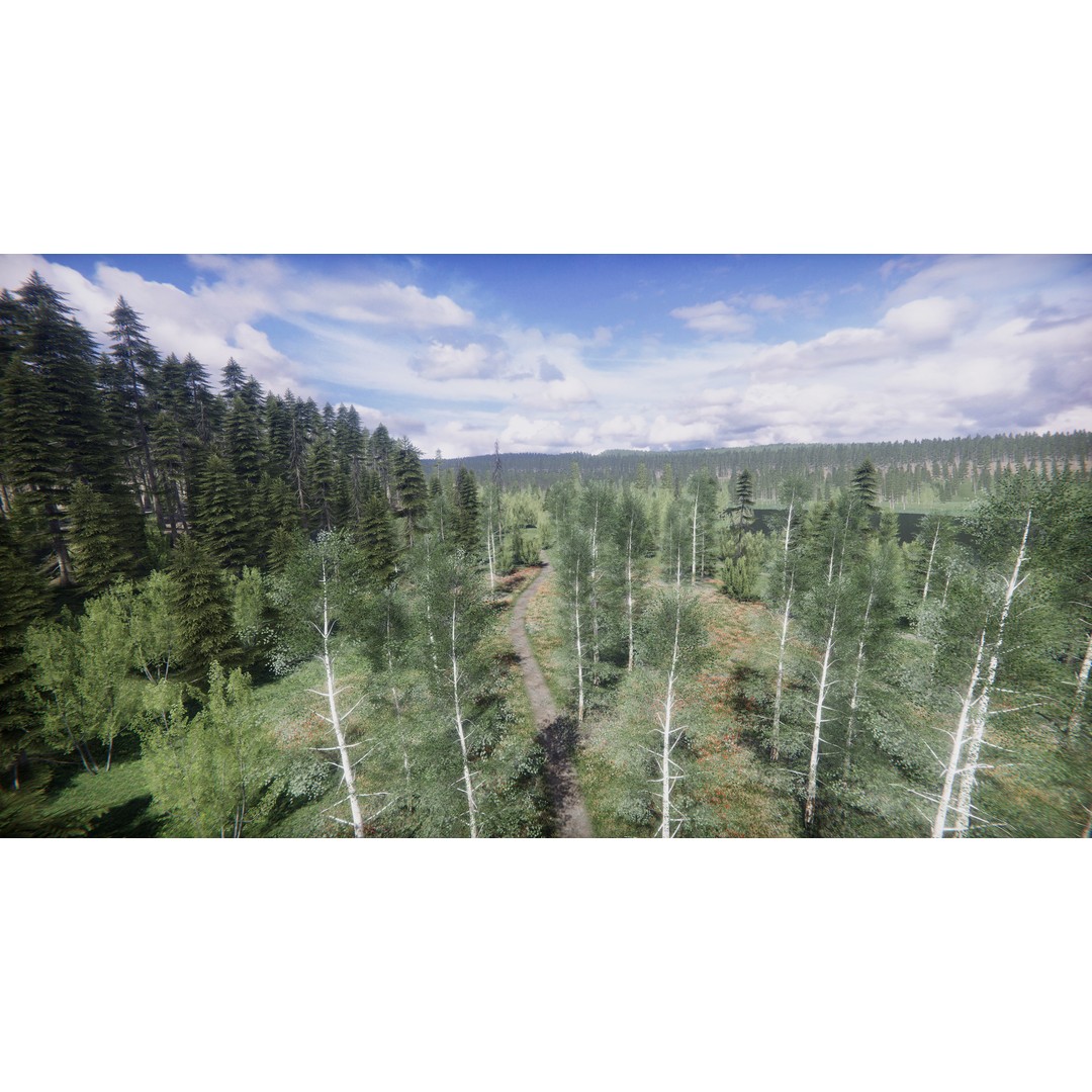 Lake Coniferous 3D Model – Low Poly Environment with Trees, Unity - View 34