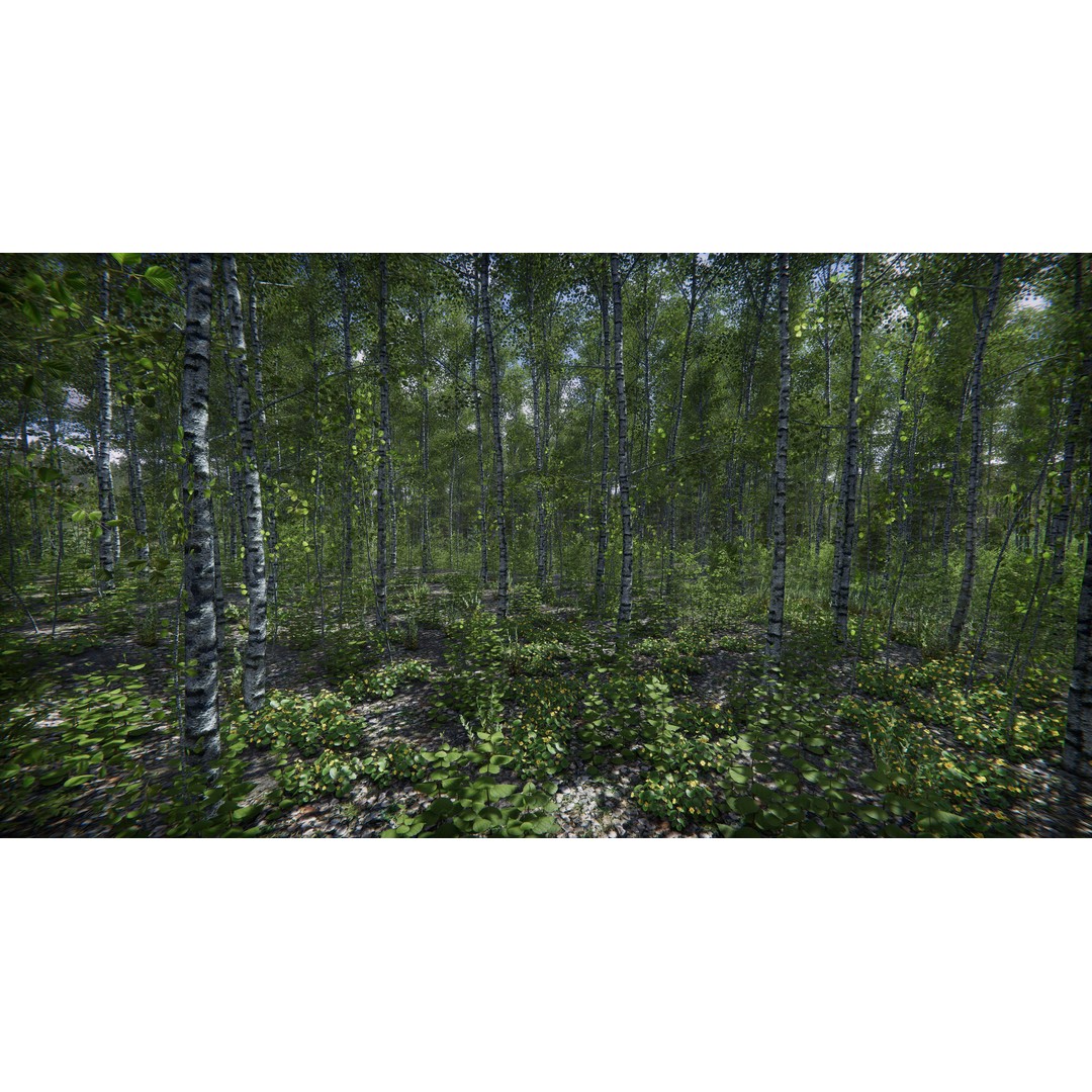 Lake Coniferous 3D Model – Low Poly Environment with Trees, Unity - View 35