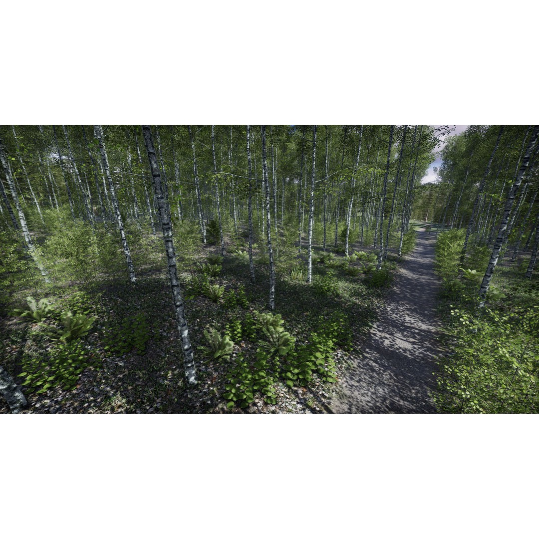 Lake Coniferous 3D Model – Low Poly Environment with Trees, Unity - View 36