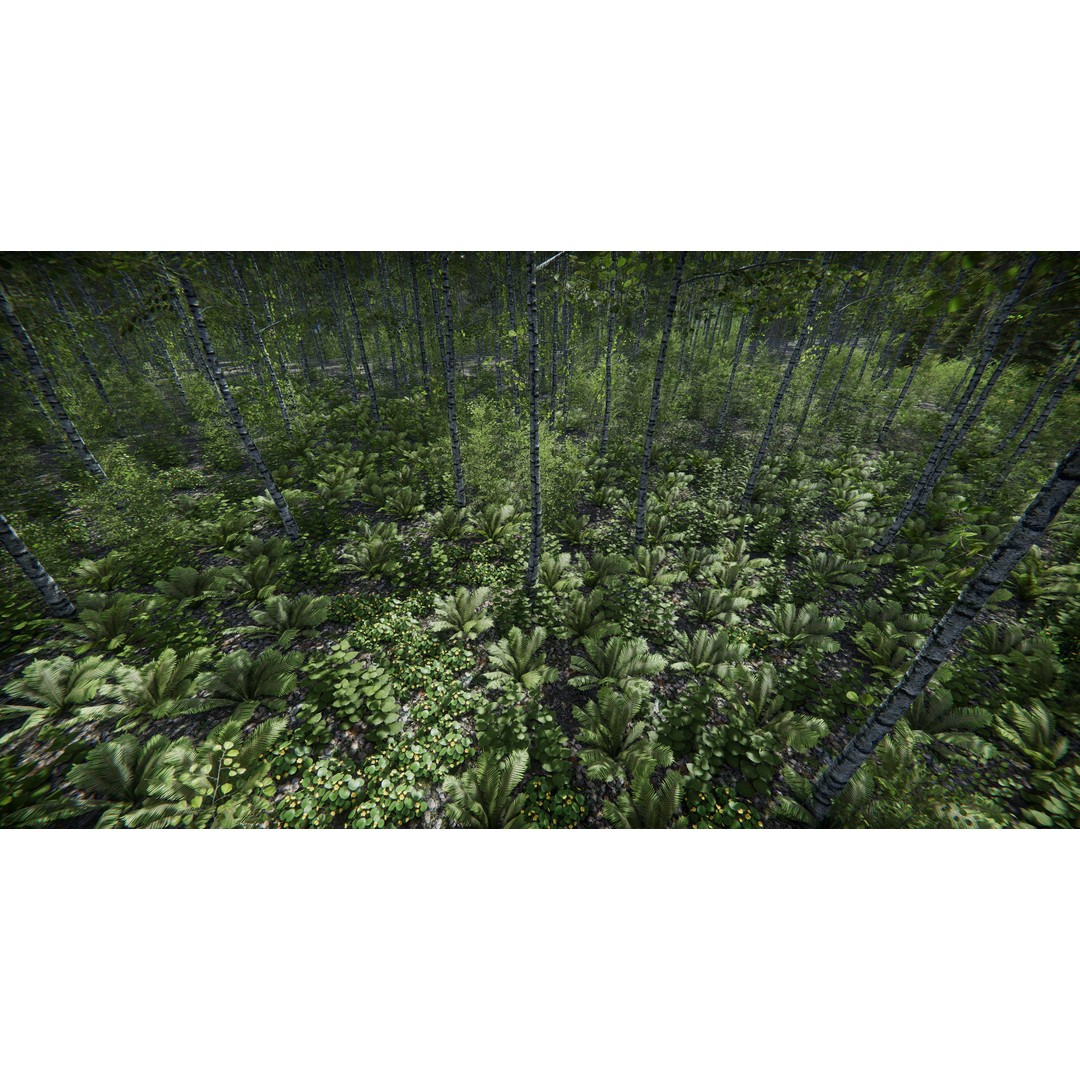 Lake Coniferous 3D Model – Low Poly Environment with Trees, Unity - View 37