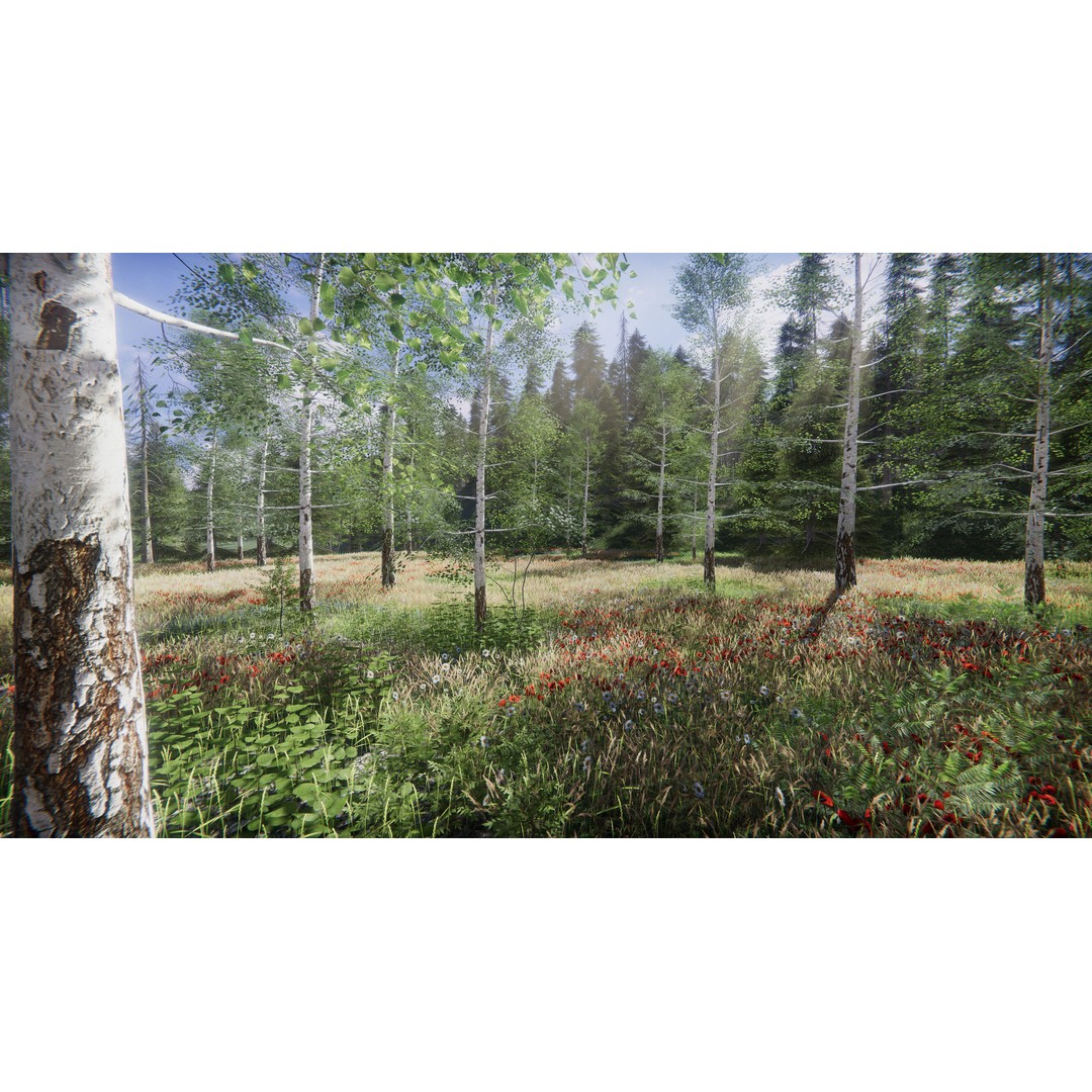 Lake Coniferous 3D Model – Low Poly Environment with Trees, Unity - View 38