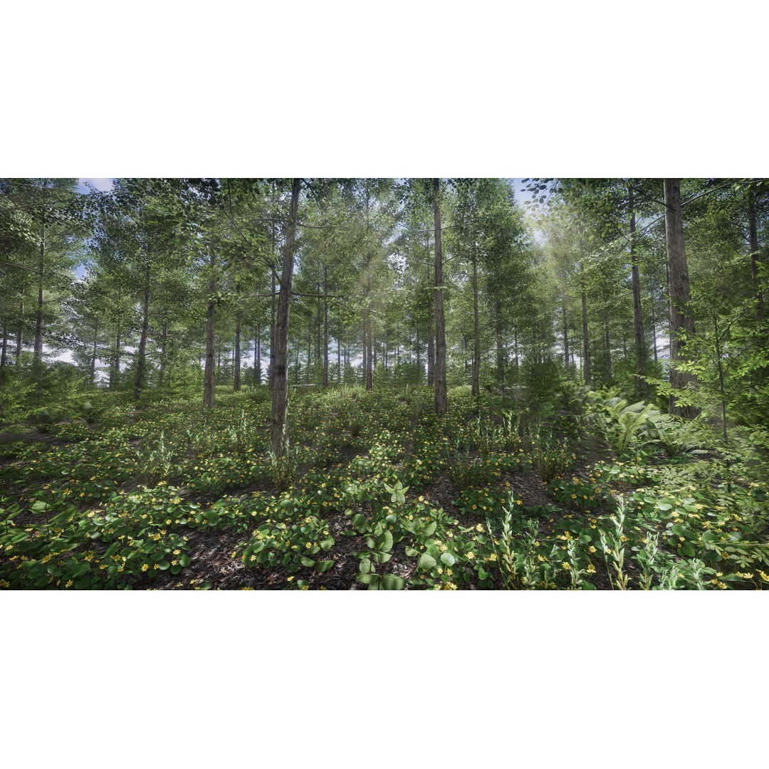 Lake Coniferous 3D Model – Low Poly Environment with Trees, Unity - View 39