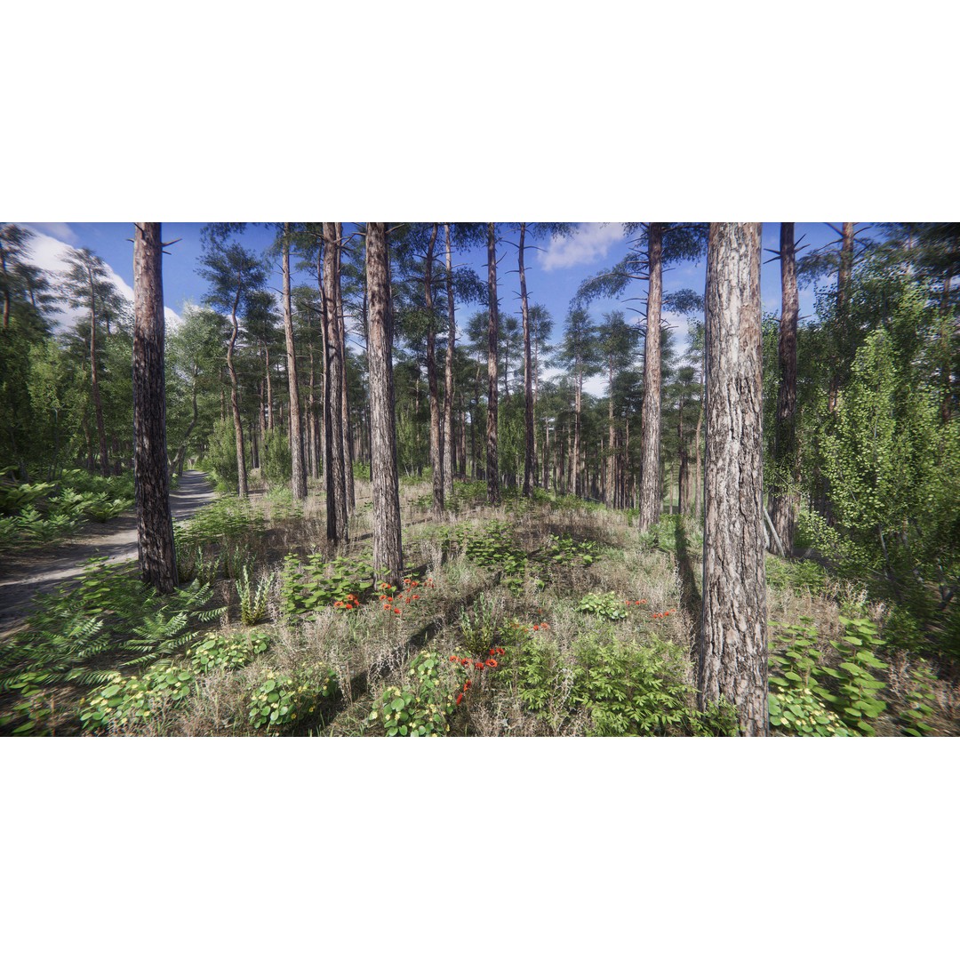 Lake Coniferous 3D Model – Low Poly Environment with Trees, Unity - View 4