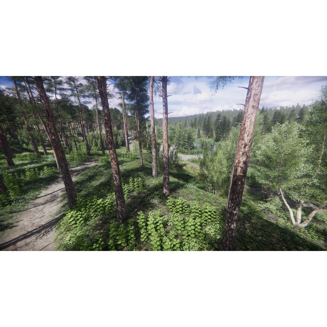 Lake Coniferous 3D Model – Low Poly Environment with Trees, Unity - View 41