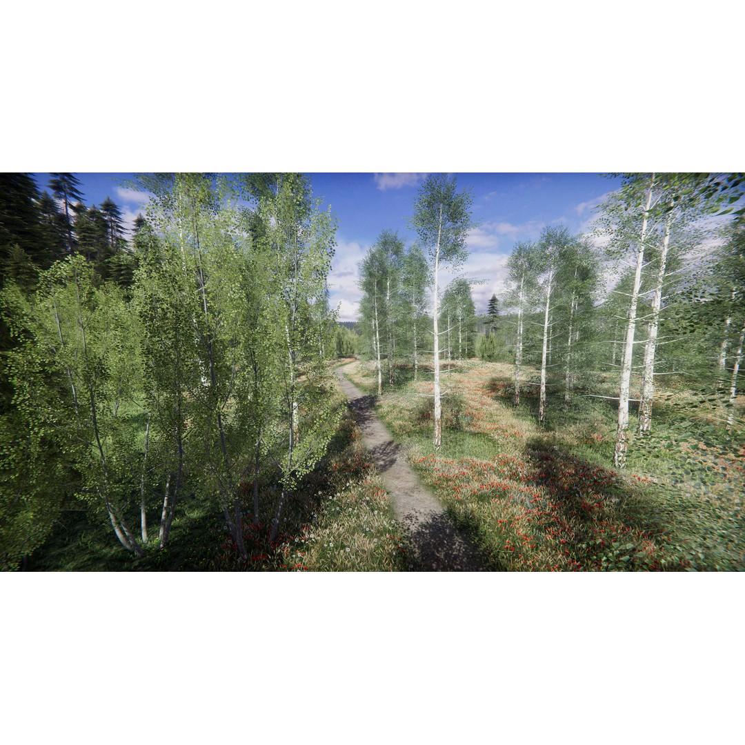 Lake Coniferous 3D Model – Low Poly Environment with Trees, Unity - View 42