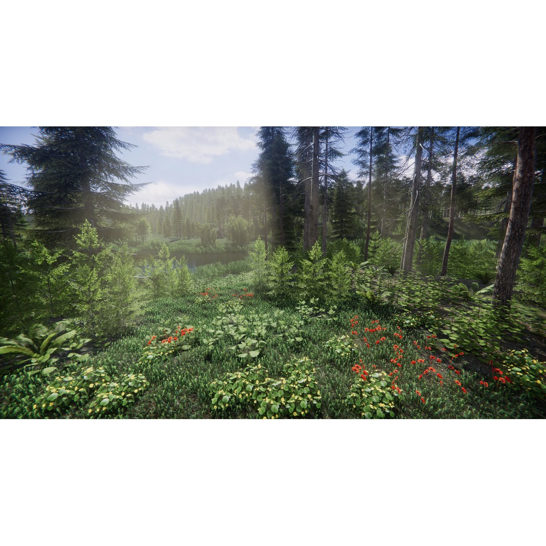 Lake Coniferous 3D Model – Low Poly Environment with Trees, Unity - View 43