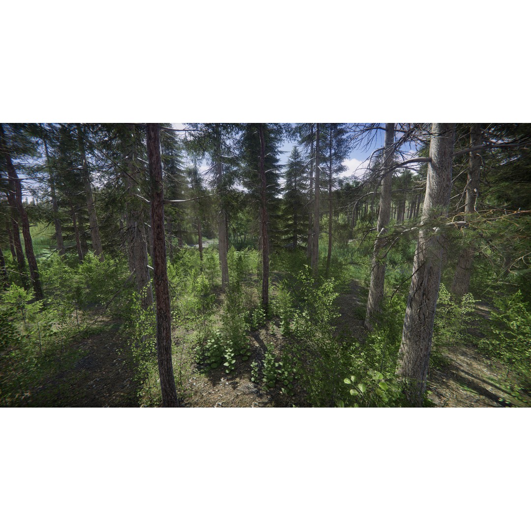 Lake Coniferous 3D Model – Low Poly Environment with Trees, Unity - View 44