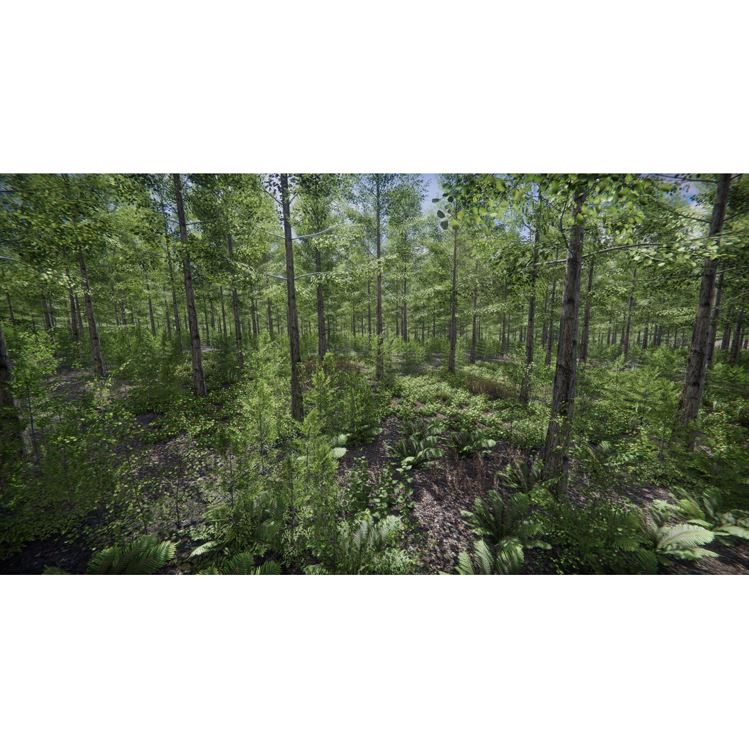 Lake Coniferous 3D Model – Low Poly Environment with Trees, Unity - View 45