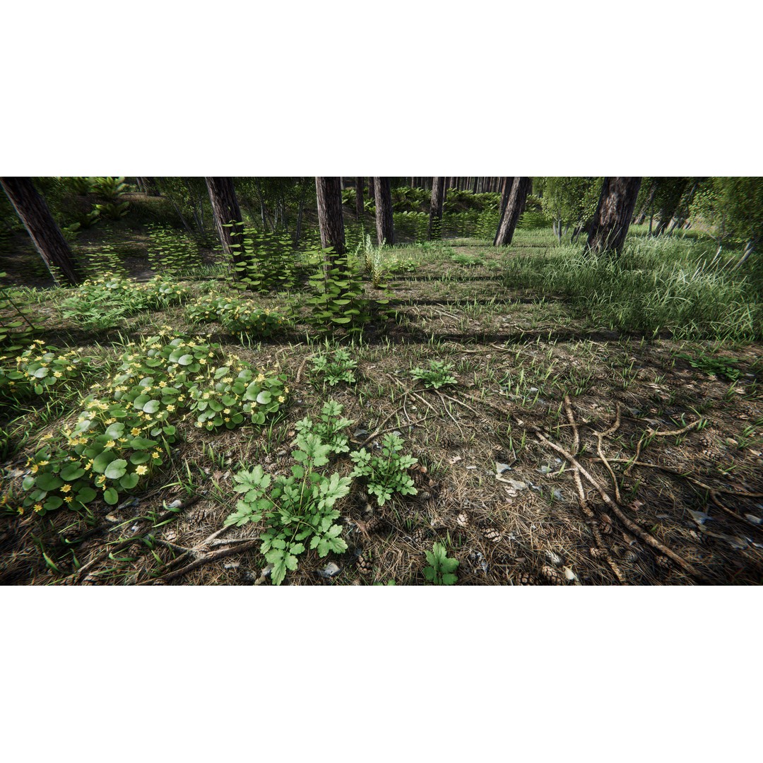 Lake Coniferous 3D Model – Low Poly Environment with Trees, Unity - View 5