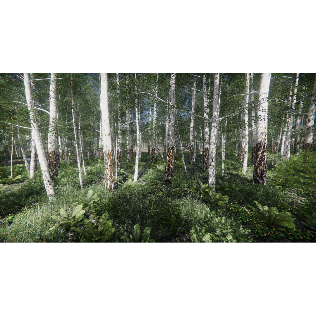 Lake Coniferous 3D Model – Low Poly Environment with Trees, Unity - View 6