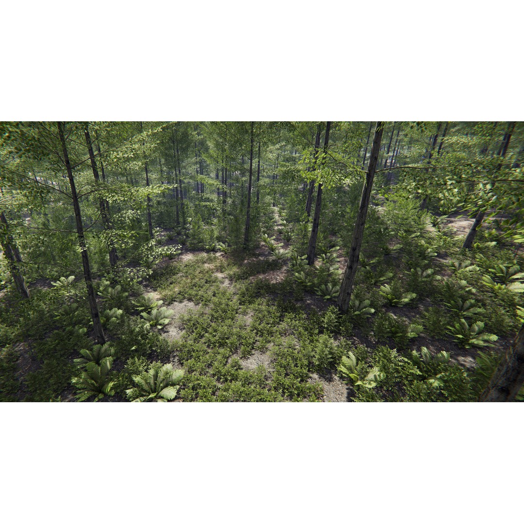 Lake Coniferous 3D Model – Low Poly Environment with Trees, Unity - View 7
