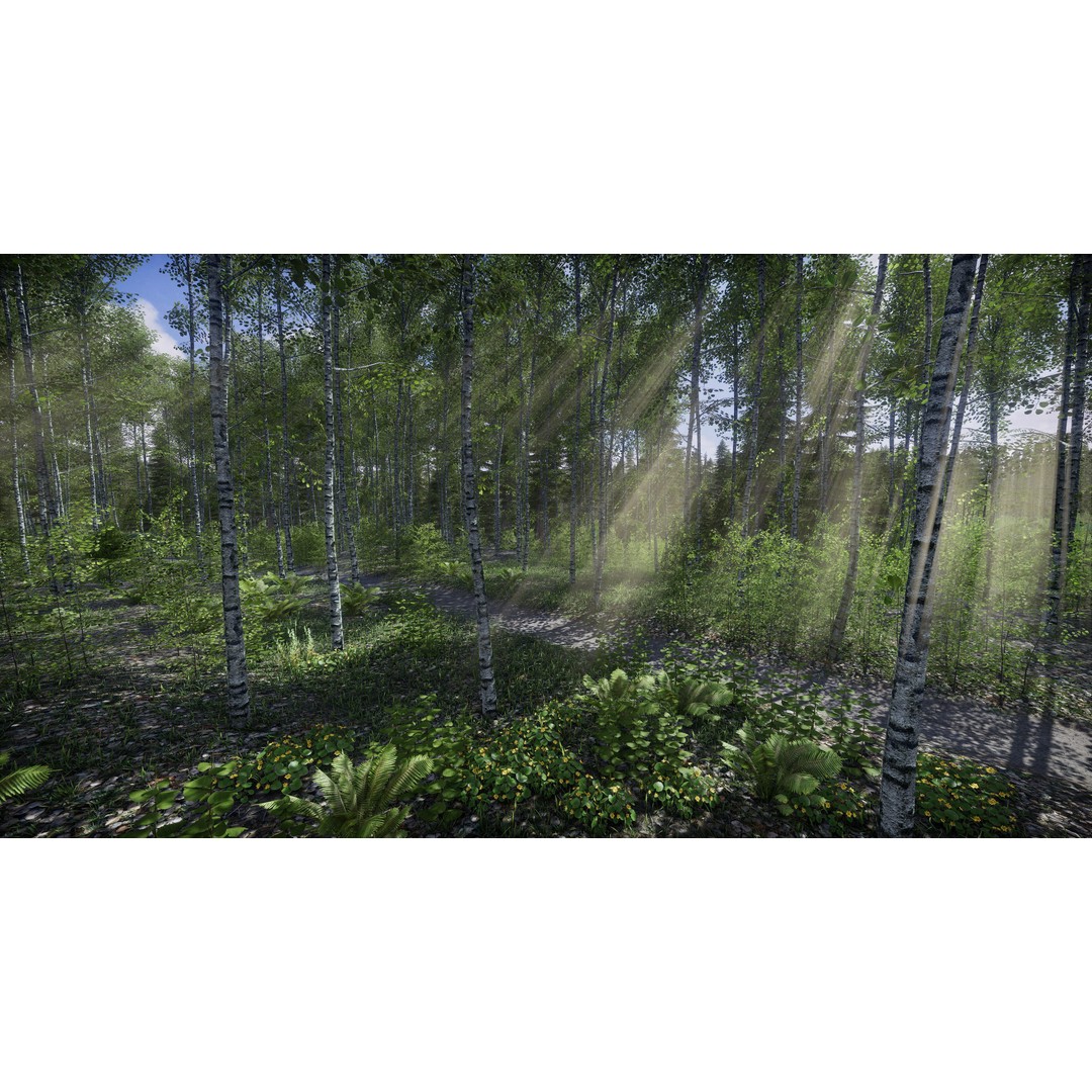 Lake Coniferous 3D Model – Low Poly Environment with Trees, Unity - View 8