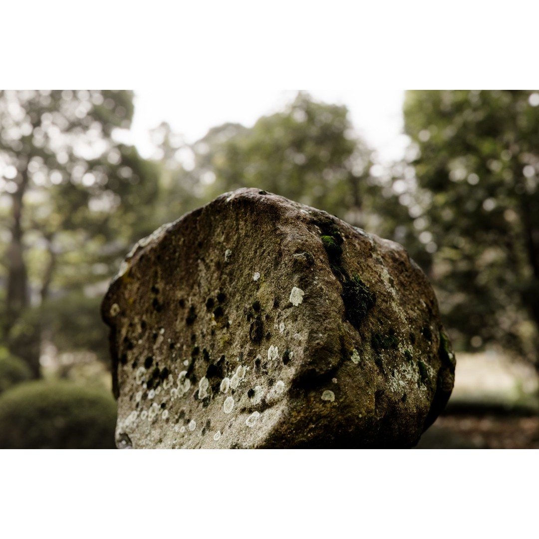 Natural Boulder 3D Model – High Poly PBR Asset, FBX, OBJ, Blender - View 3