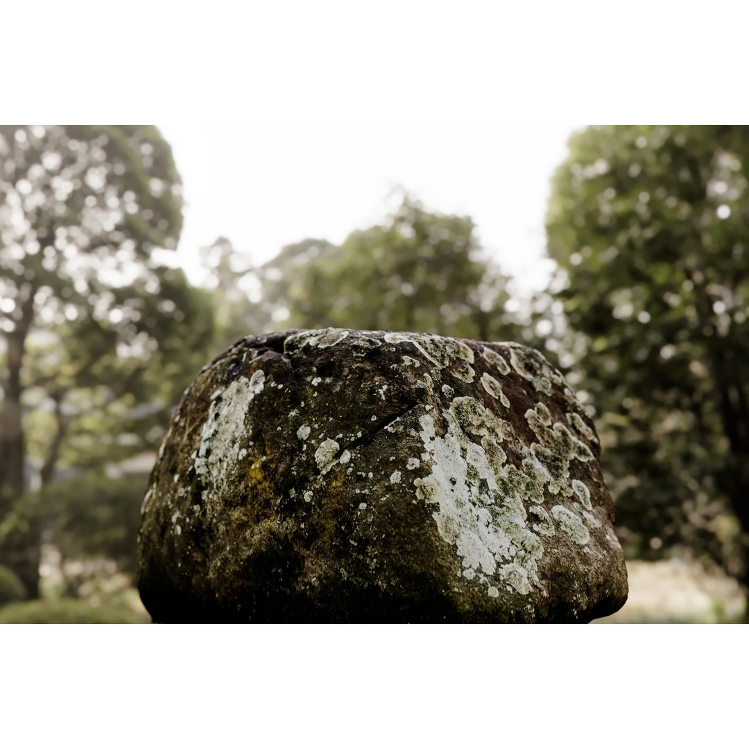 Natural Boulder 3D Model – High Poly PBR Asset, FBX, OBJ, Blender - View 4