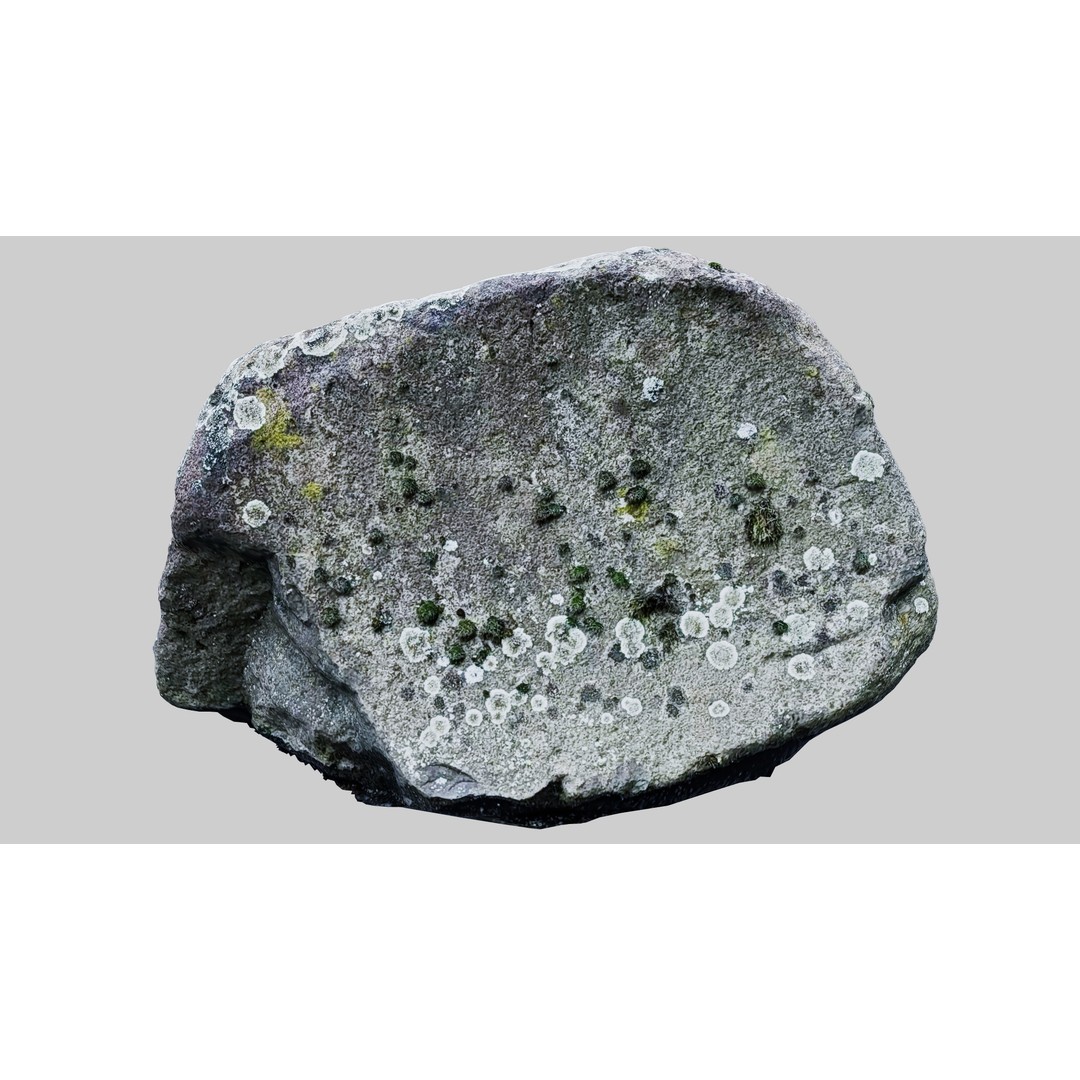 Natural Boulder 3D Model – High Poly PBR Asset, FBX, OBJ, Blender - View 7