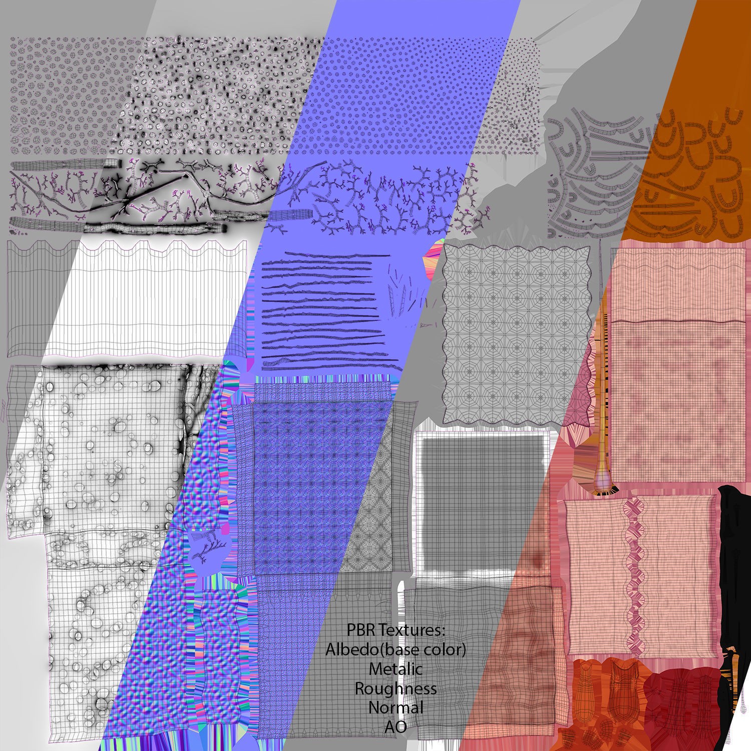 Skin Anatomy - High-Quality 3D Model - View 11
