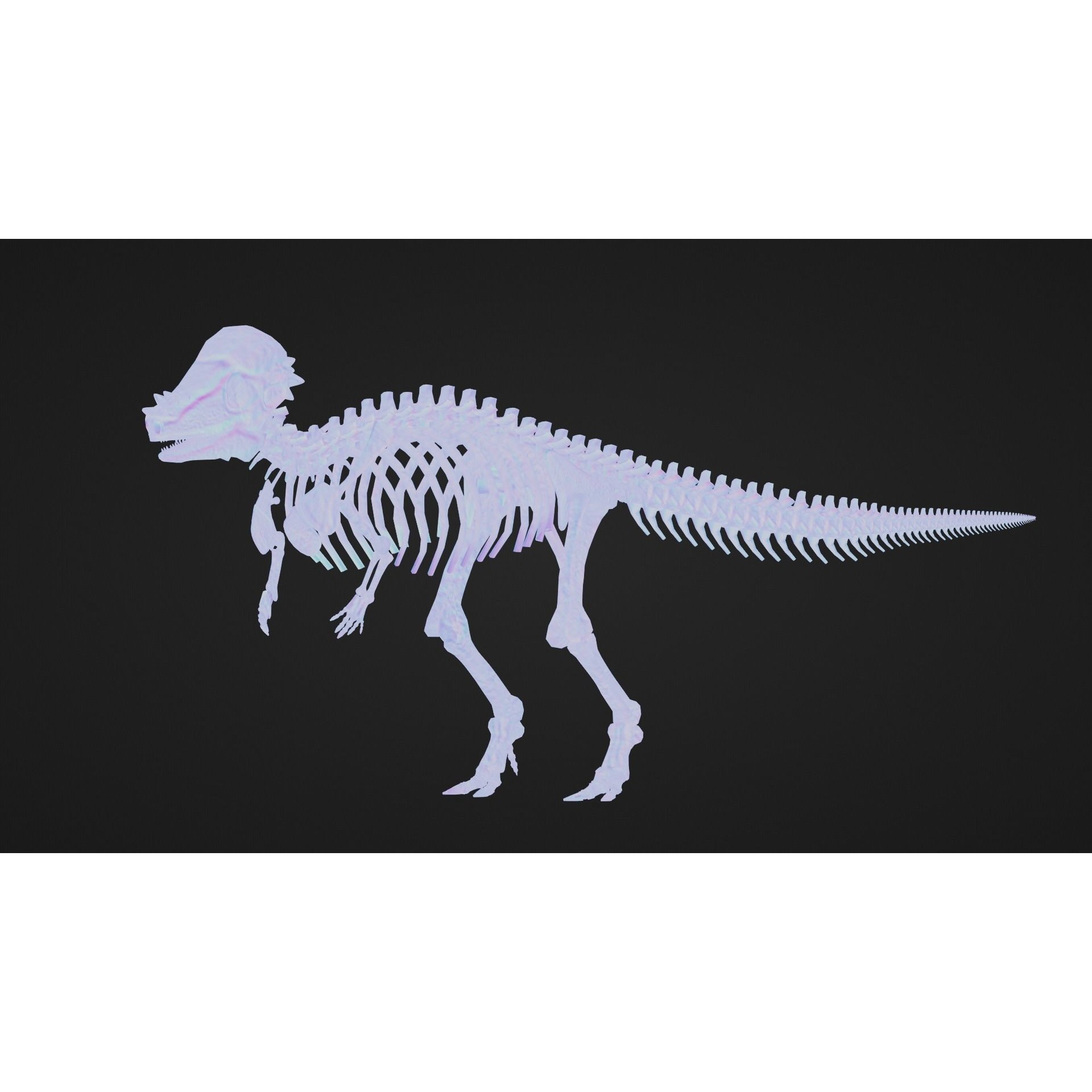 Pachycephalosaurus - Low-Poly Game-Ready 3D Model - View 10
