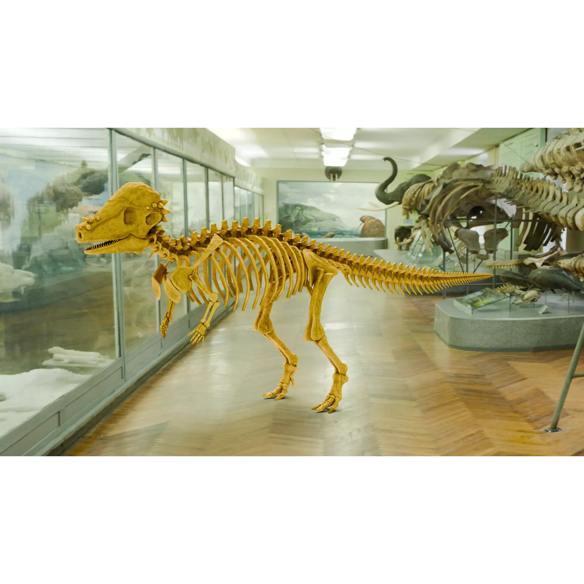 Pachycephalosaurus - Low-Poly Game-Ready 3D Model - View 2