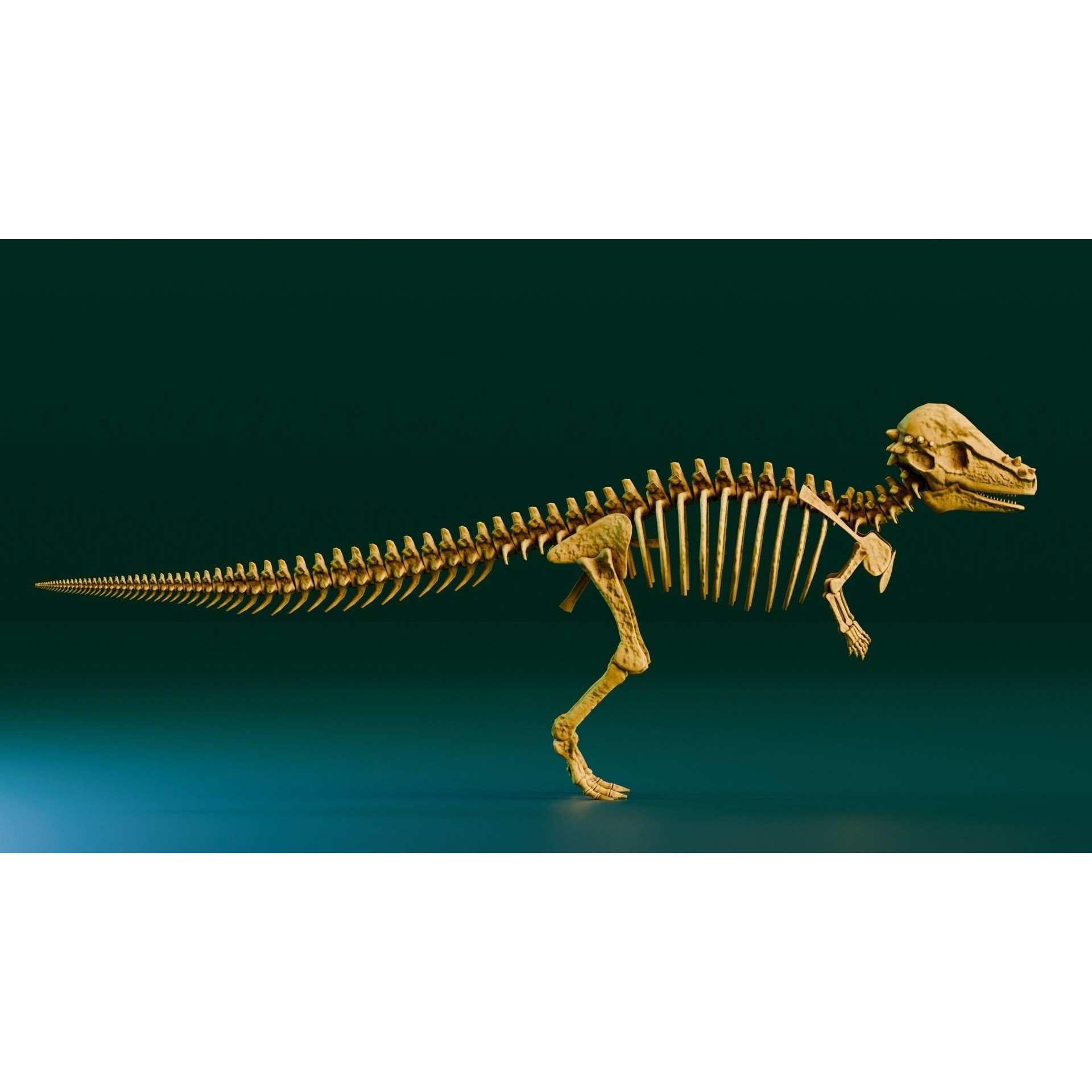 Pachycephalosaurus - Low-Poly Game-Ready 3D Model - View 5