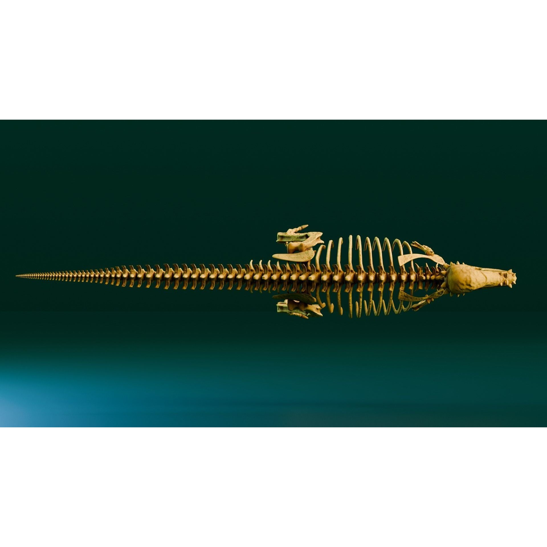 Pachycephalosaurus - Low-Poly Game-Ready 3D Model - View 6