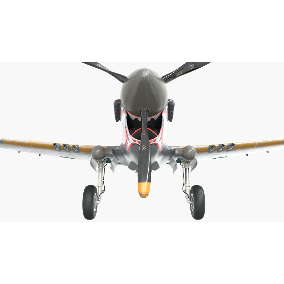 Curtiss P-40 Warhawk 3D Model – Low Poly Game Ready Aircraft, FBX - View 12