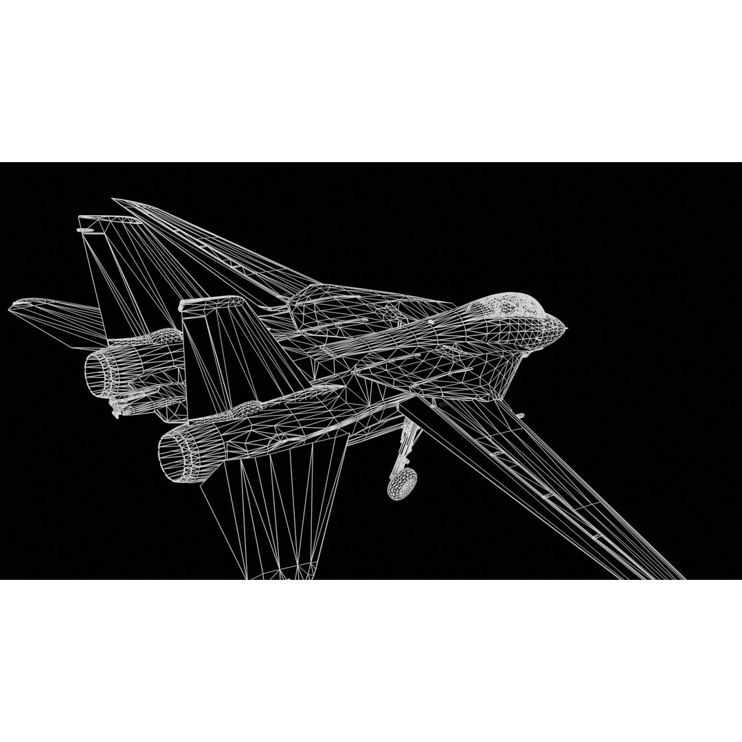 Grumman F-14 Tomcat 3D Model – High-Poly PBR Game Asset, FBX