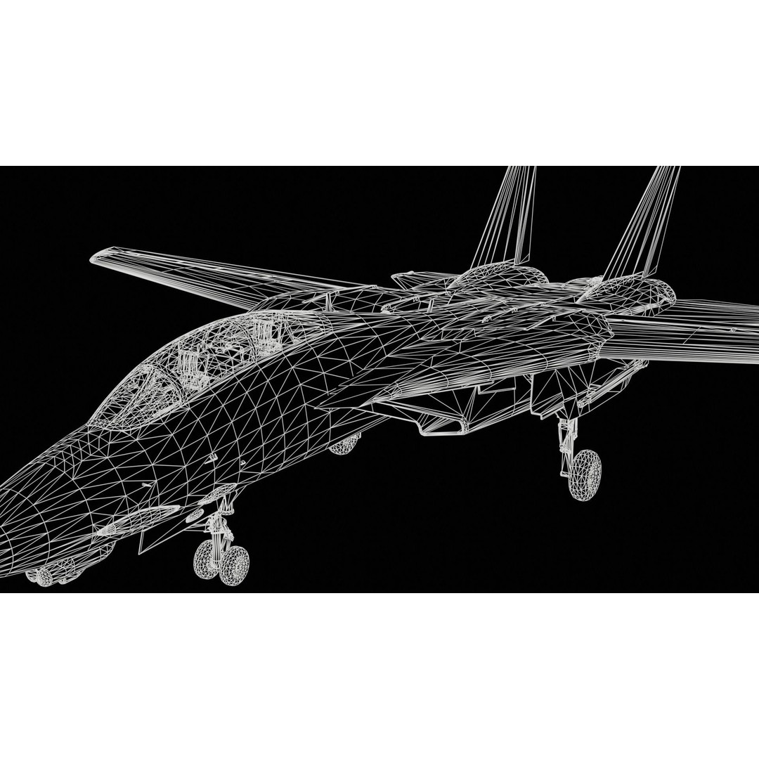 Grumman F-14 Tomcat 3D Model – High-Poly PBR Game Asset, FBX - View 10