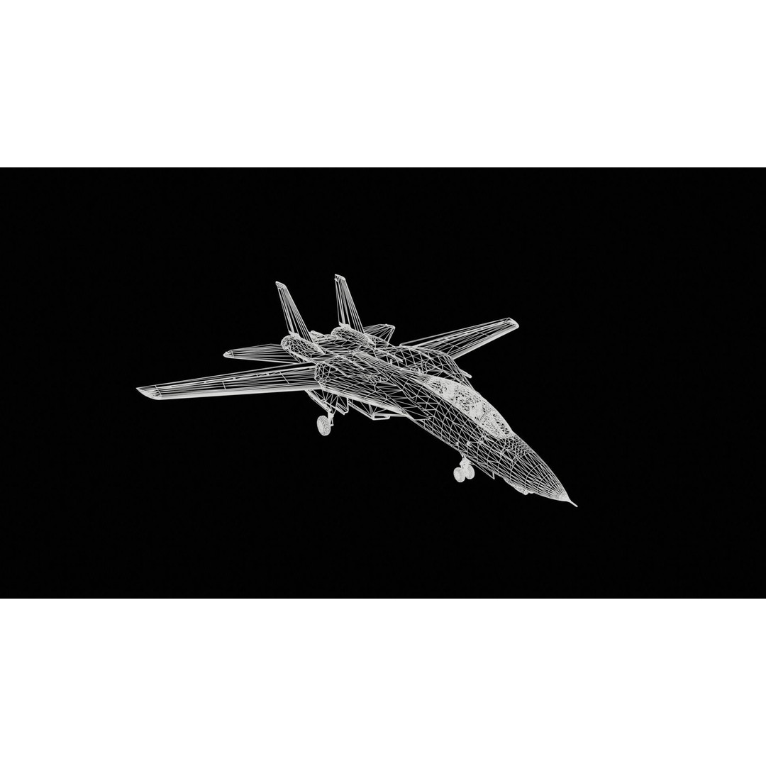 Grumman F-14 Tomcat 3D Model – High-Poly PBR Game Asset, FBX - View 11