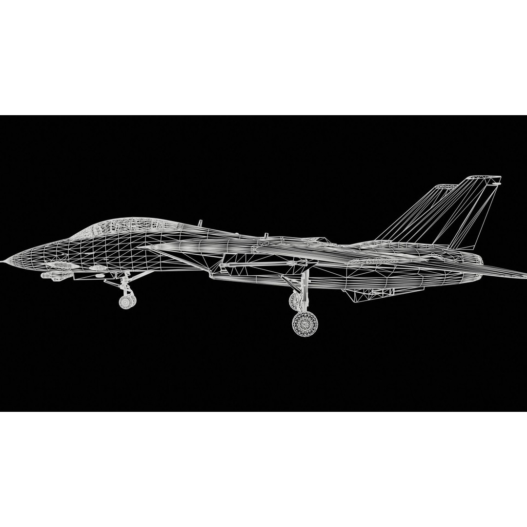 Grumman F-14 Tomcat 3D Model – High-Poly PBR Game Asset, FBX - View 13