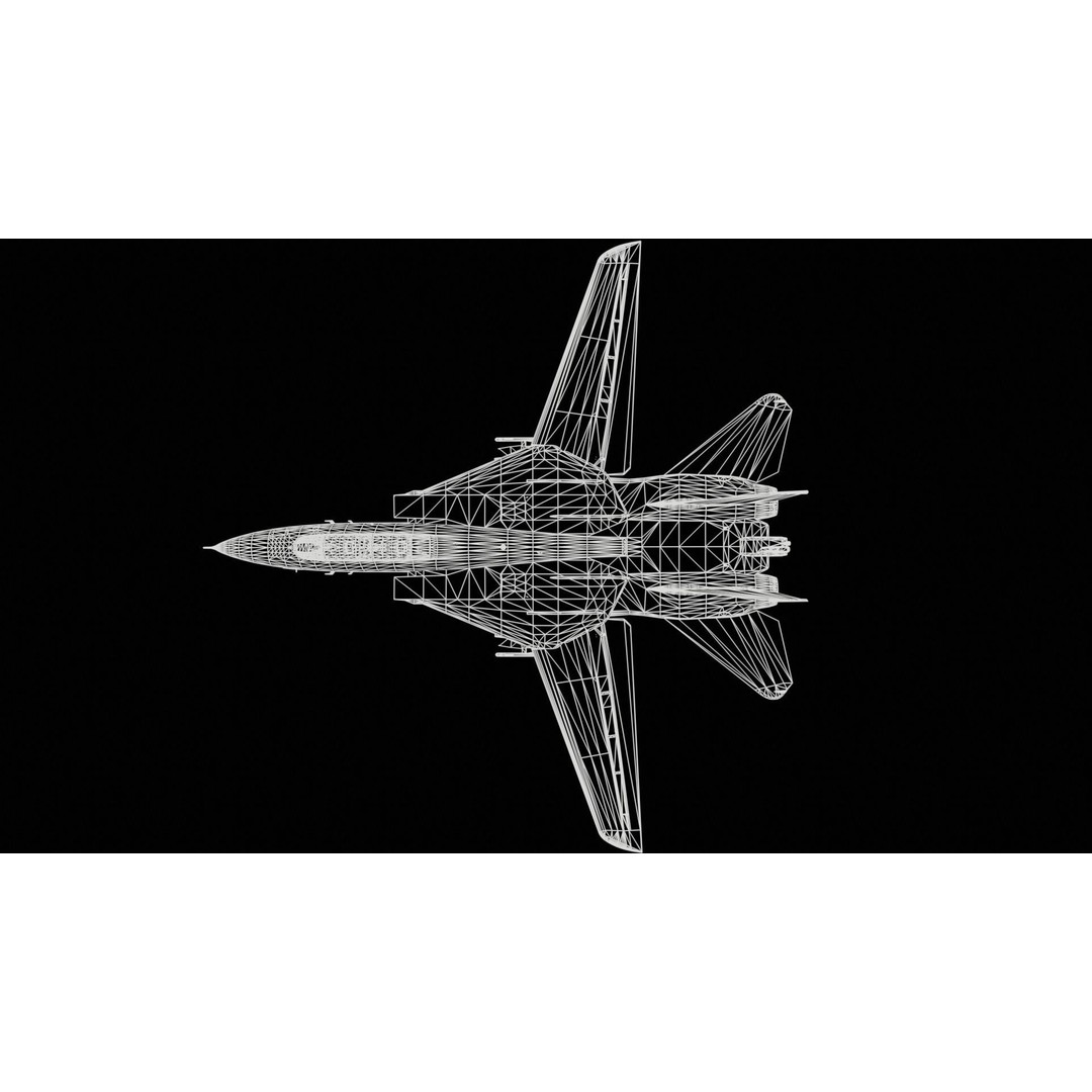 Grumman F-14 Tomcat 3D Model – High-Poly PBR Game Asset, FBX - View 14