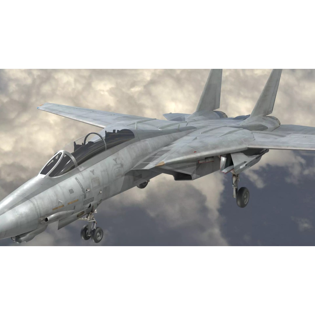 Grumman F-14 Tomcat 3D Model – High-Poly PBR Game Asset, FBX - View 2