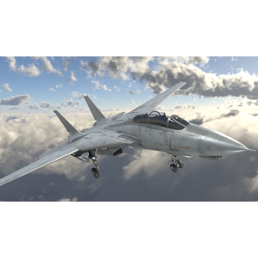 Grumman F-14 Tomcat 3D Model – High-Poly PBR Game Asset, FBX - View 3