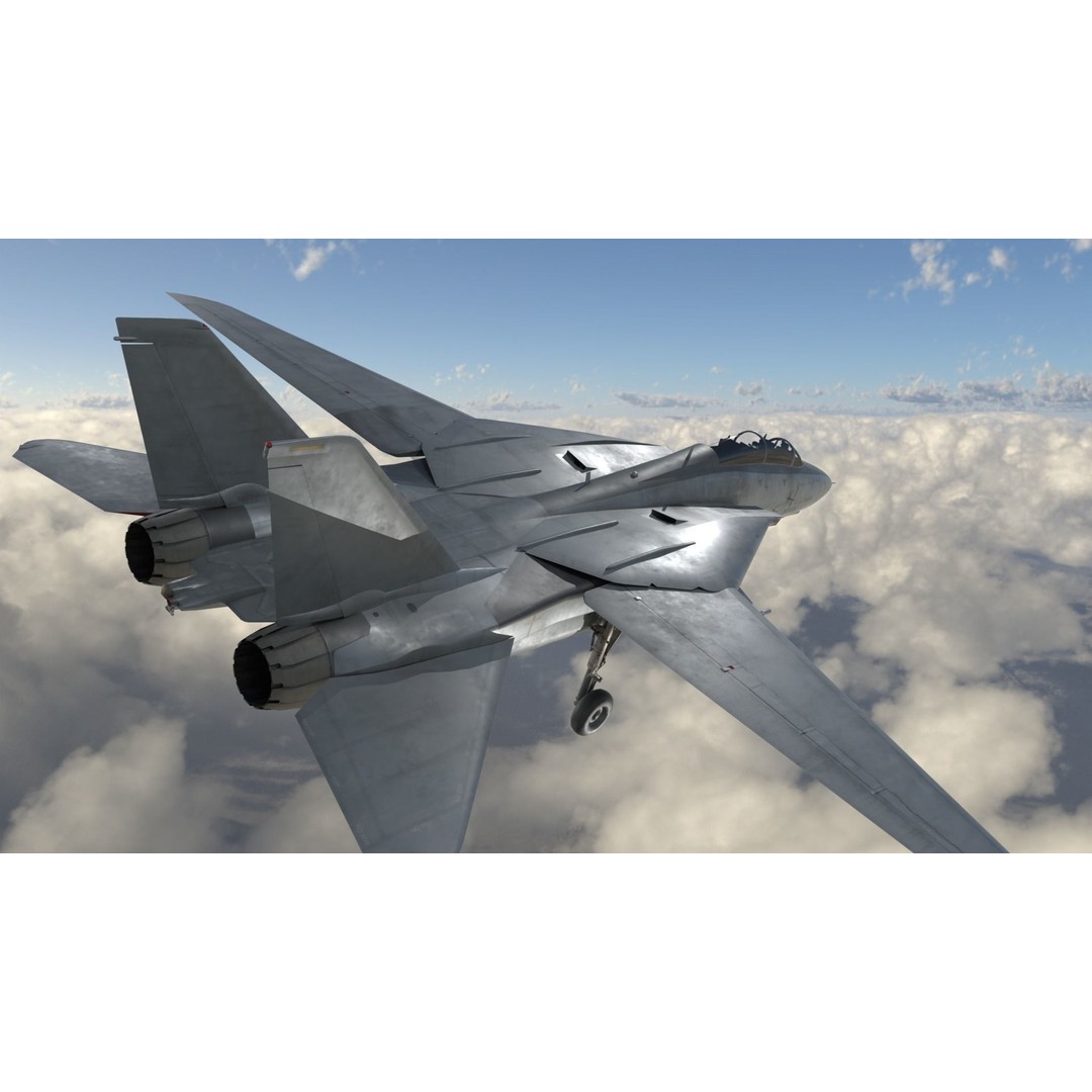 Grumman F-14 Tomcat 3D Model – High-Poly PBR Game Asset, FBX - View 5
