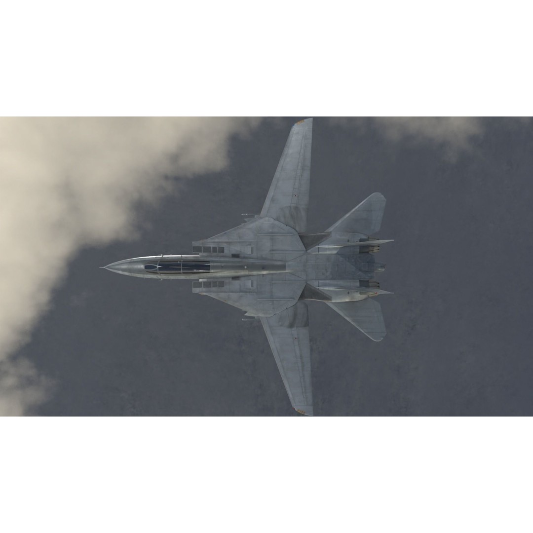 Grumman F-14 Tomcat 3D Model – High-Poly PBR Game Asset, FBX - View 9