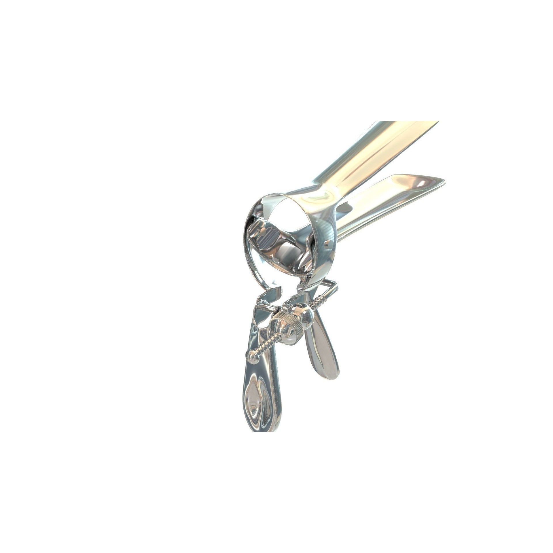 Speculum Stainless Steel Pliers - Rigged 3D Model - View 29