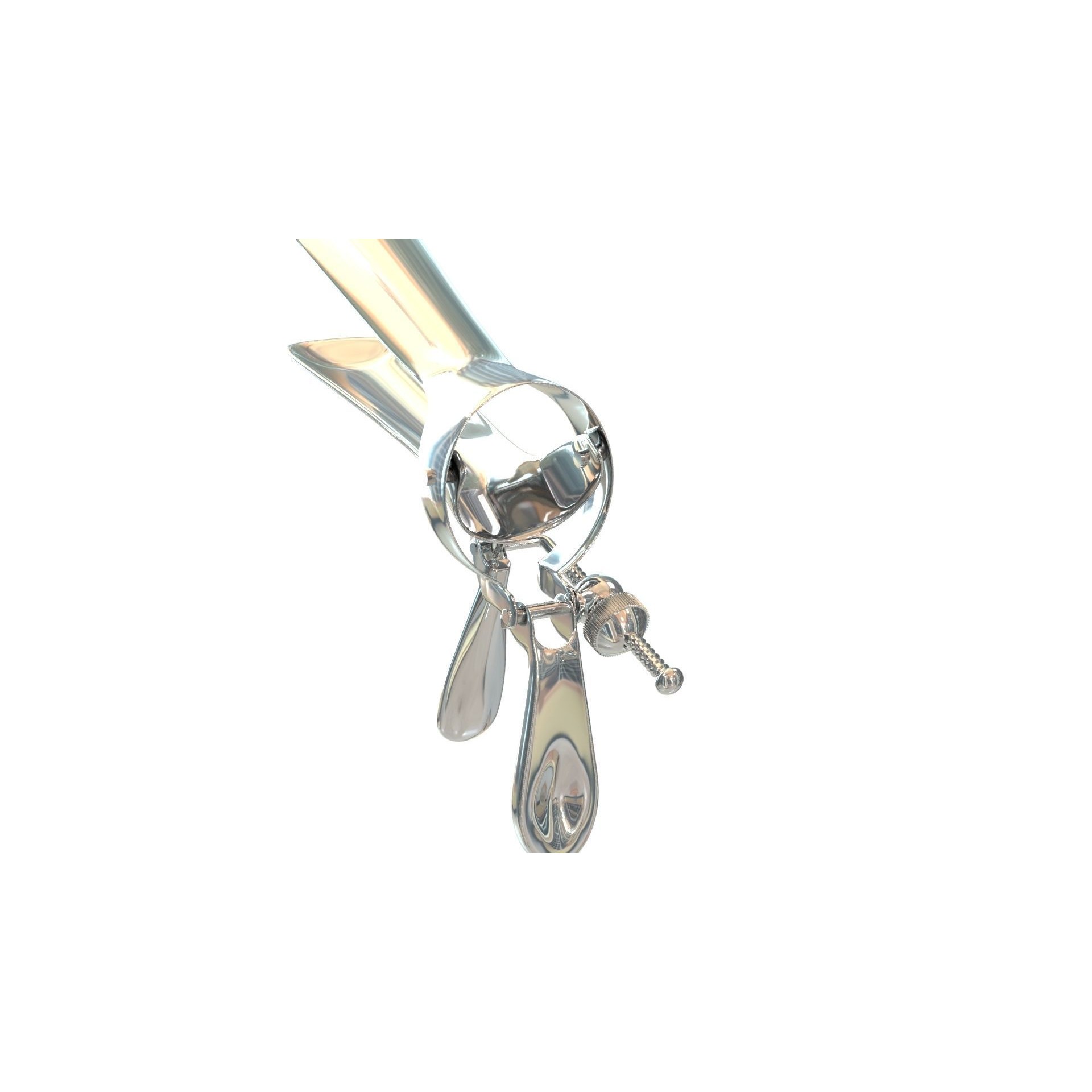 Speculum Stainless Steel Pliers - Rigged 3D Model - View 33