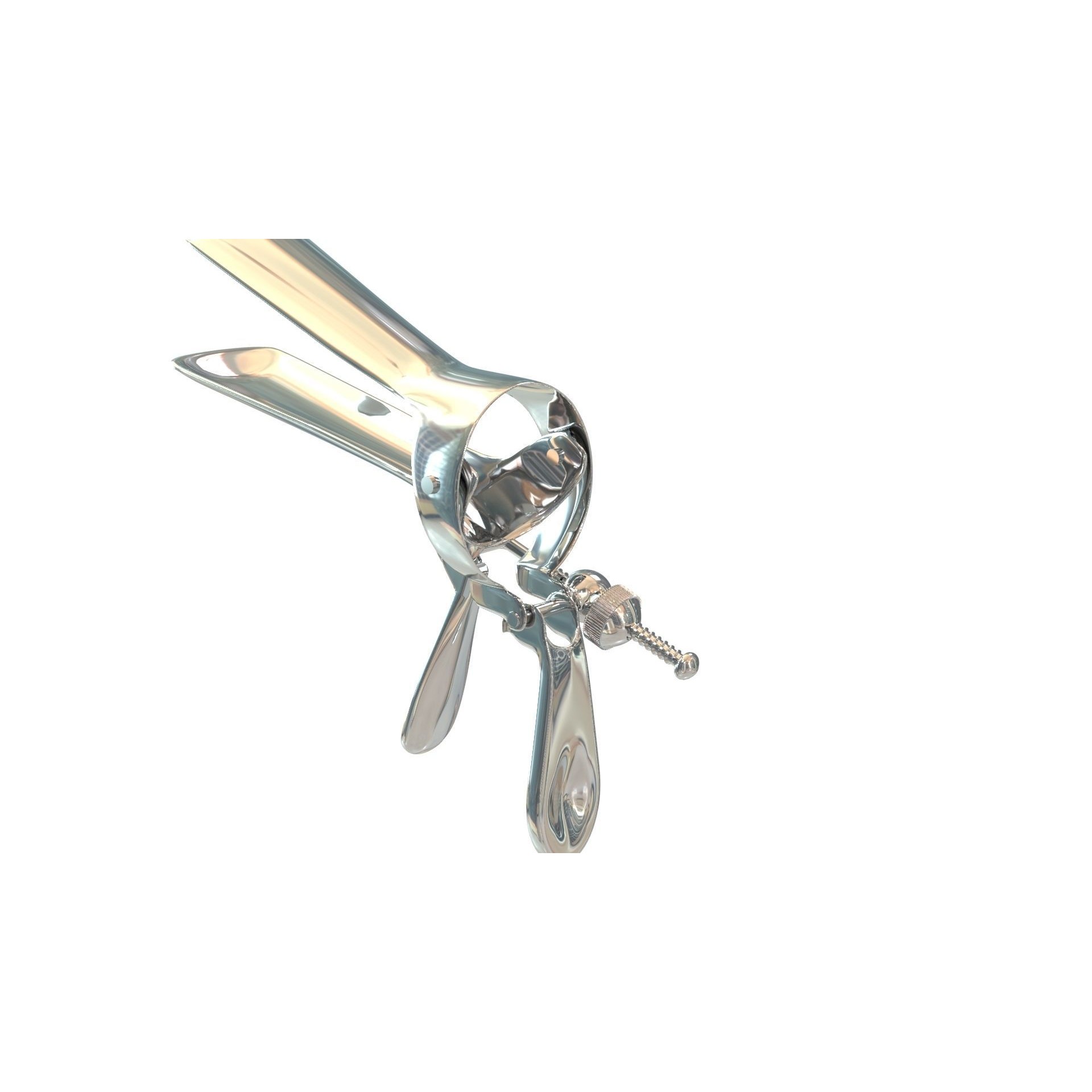 Speculum Stainless Steel Pliers - Rigged 3D Model - View 34