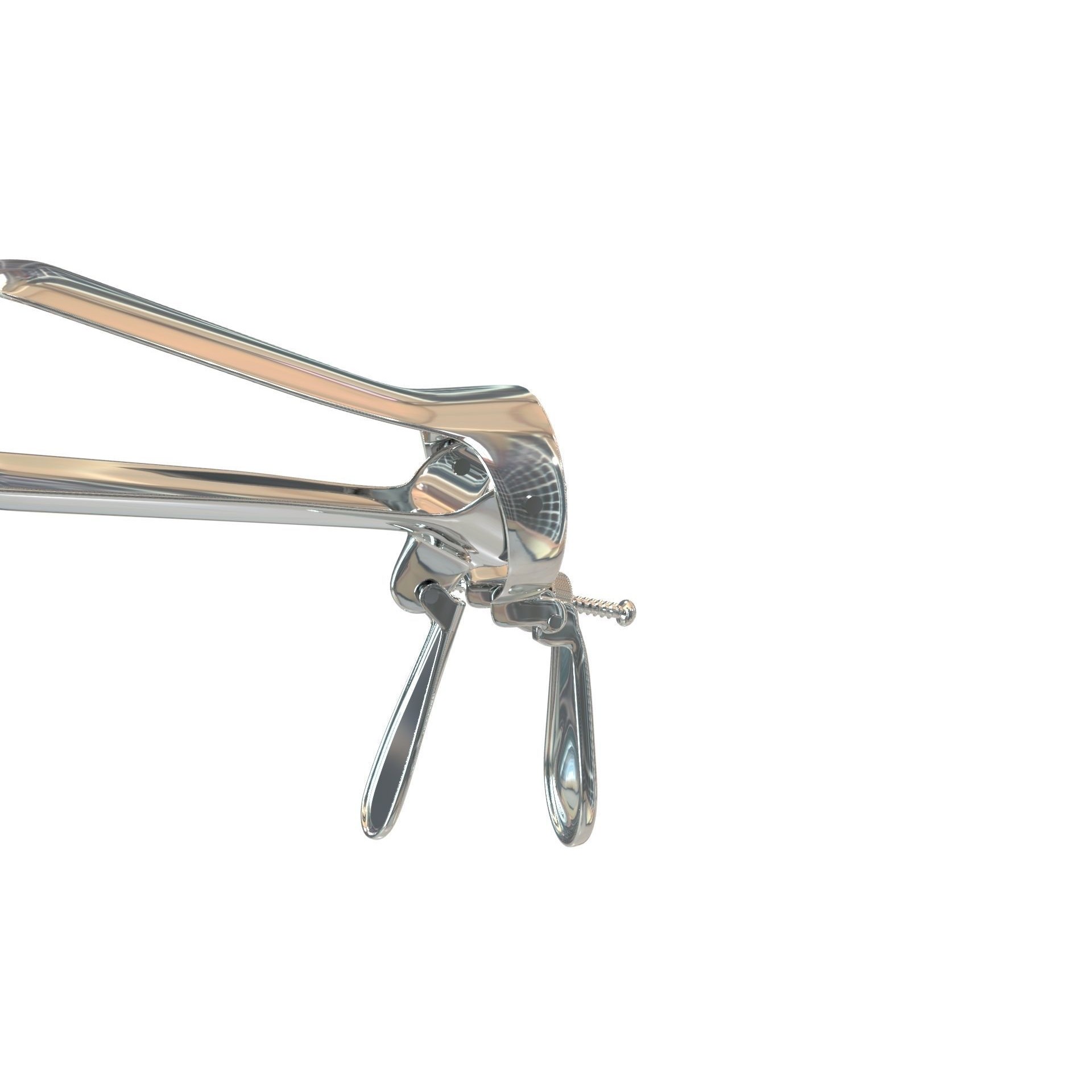 Speculum Stainless Steel Pliers - Rigged 3D Model - View 38