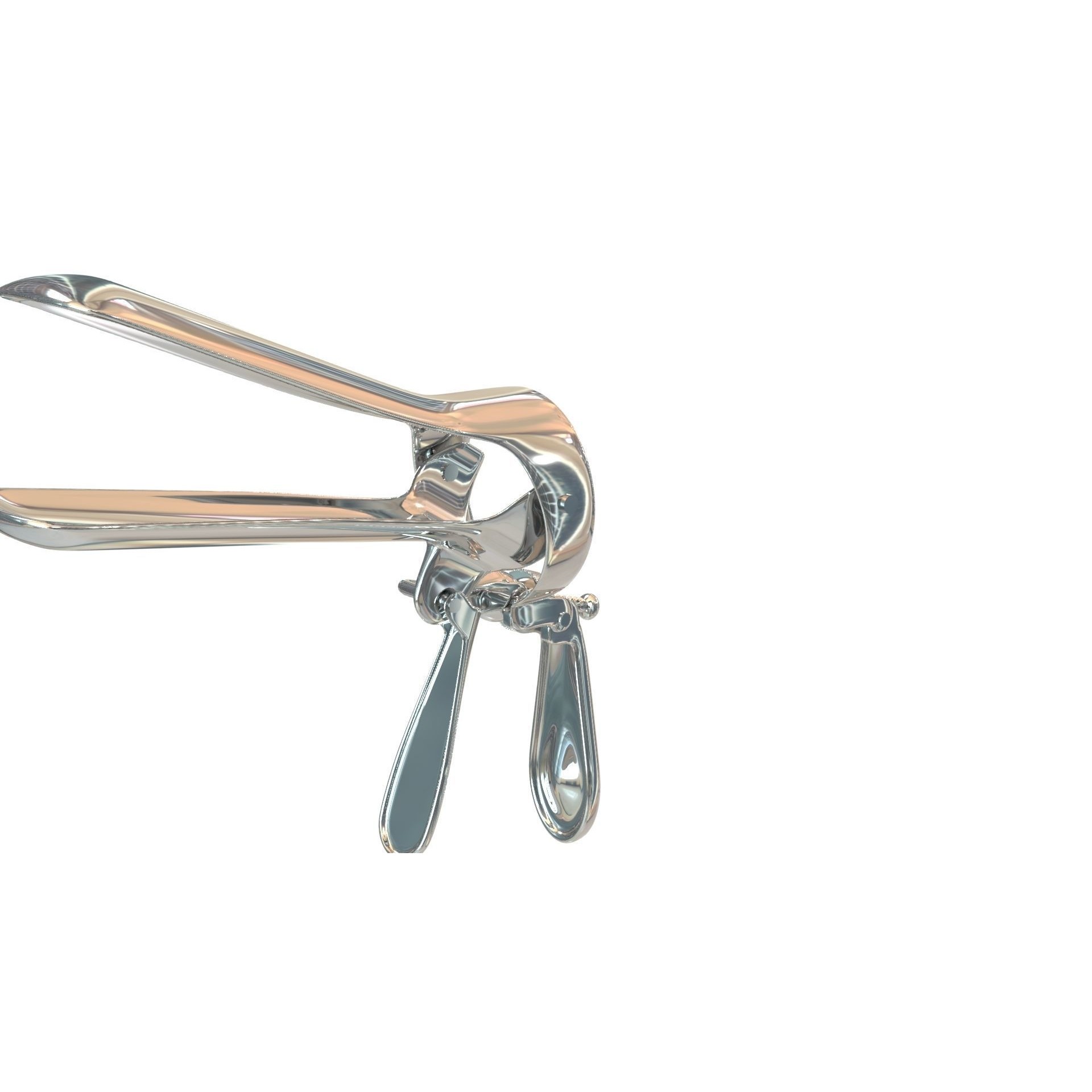 Speculum Stainless Steel Pliers - Rigged 3D Model - View 39