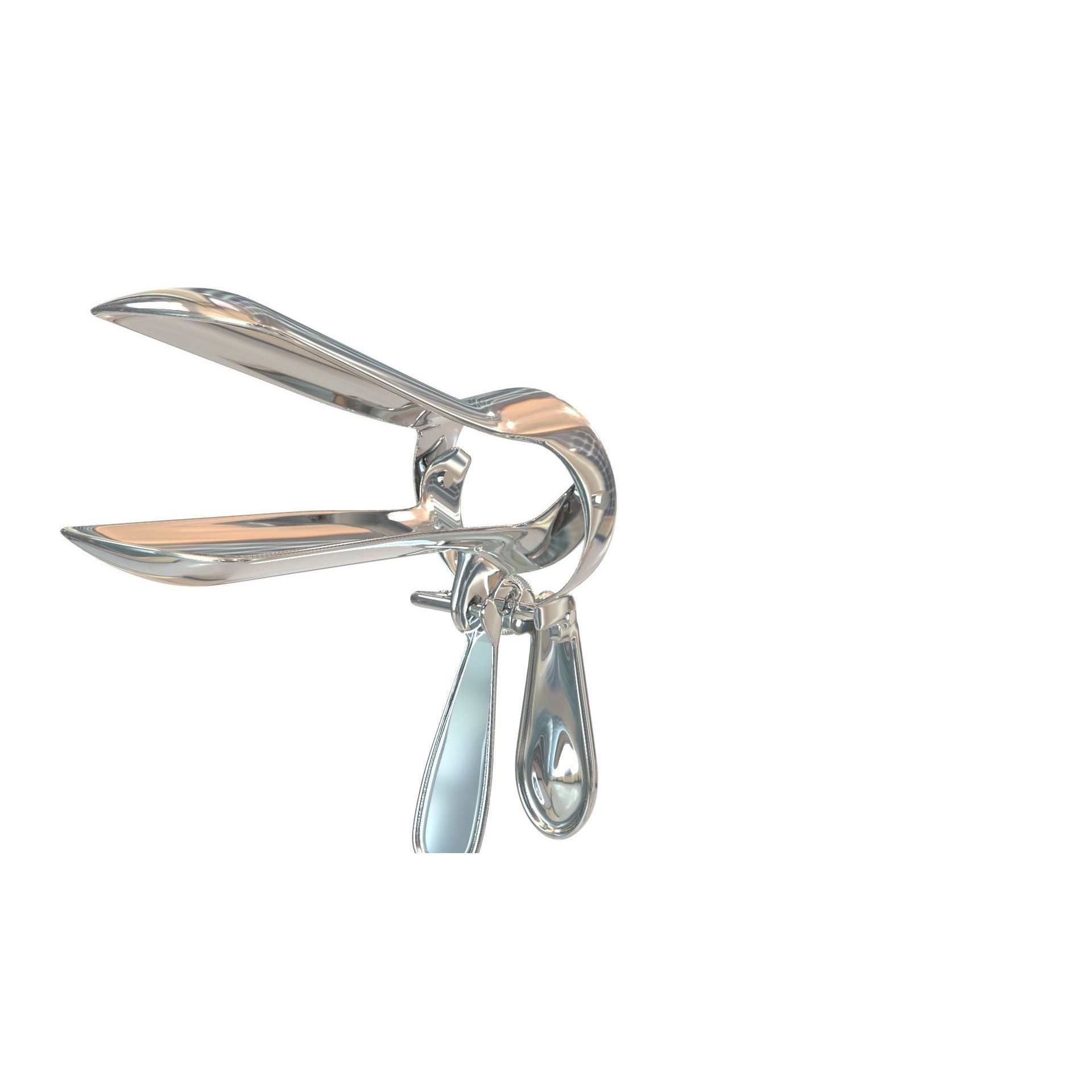 Speculum Stainless Steel Pliers - Rigged 3D Model - View 40