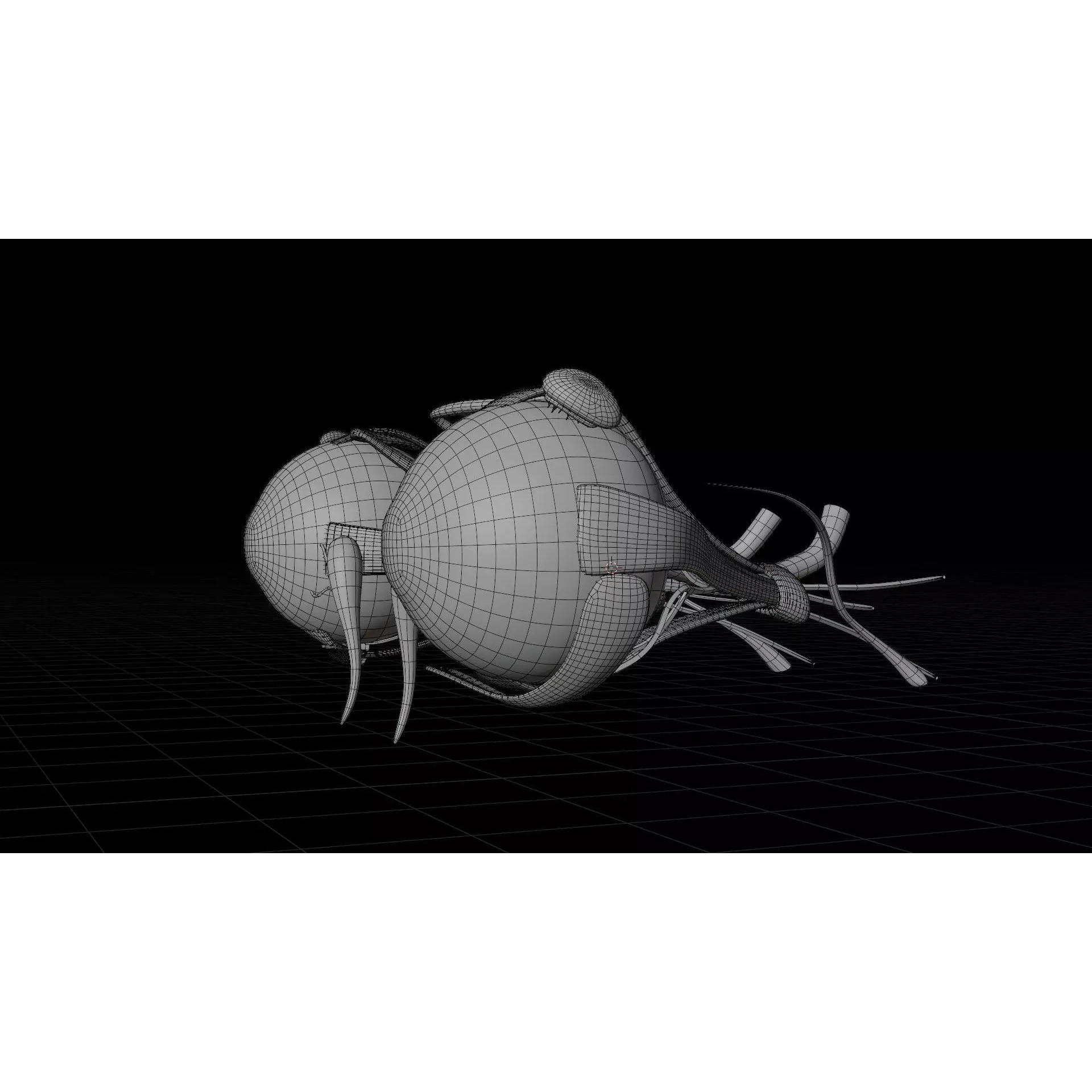 Human Eye Anatomy - Low-Poly 3D Model - View 4