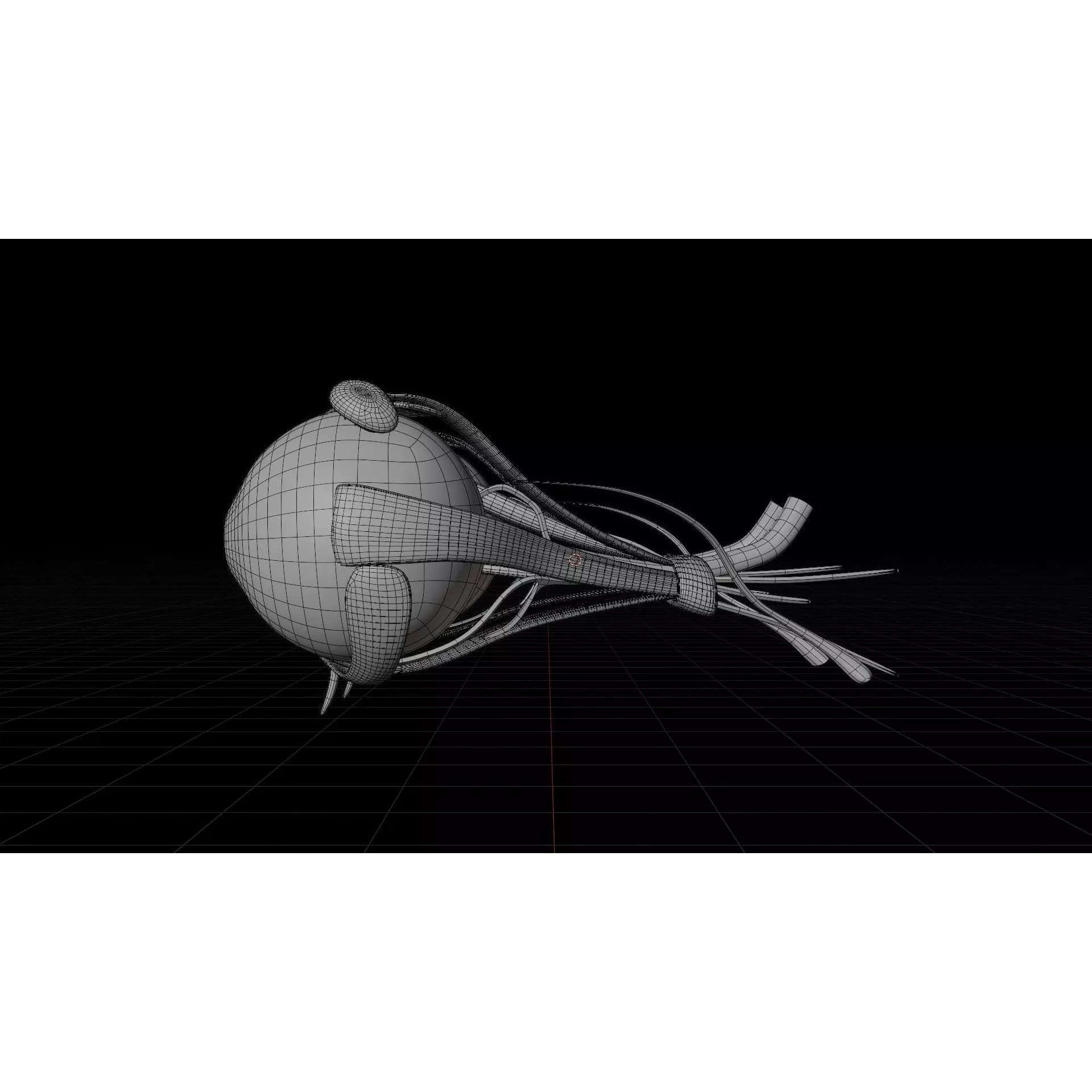 Human Eye Anatomy - Low-Poly 3D Model - View 5