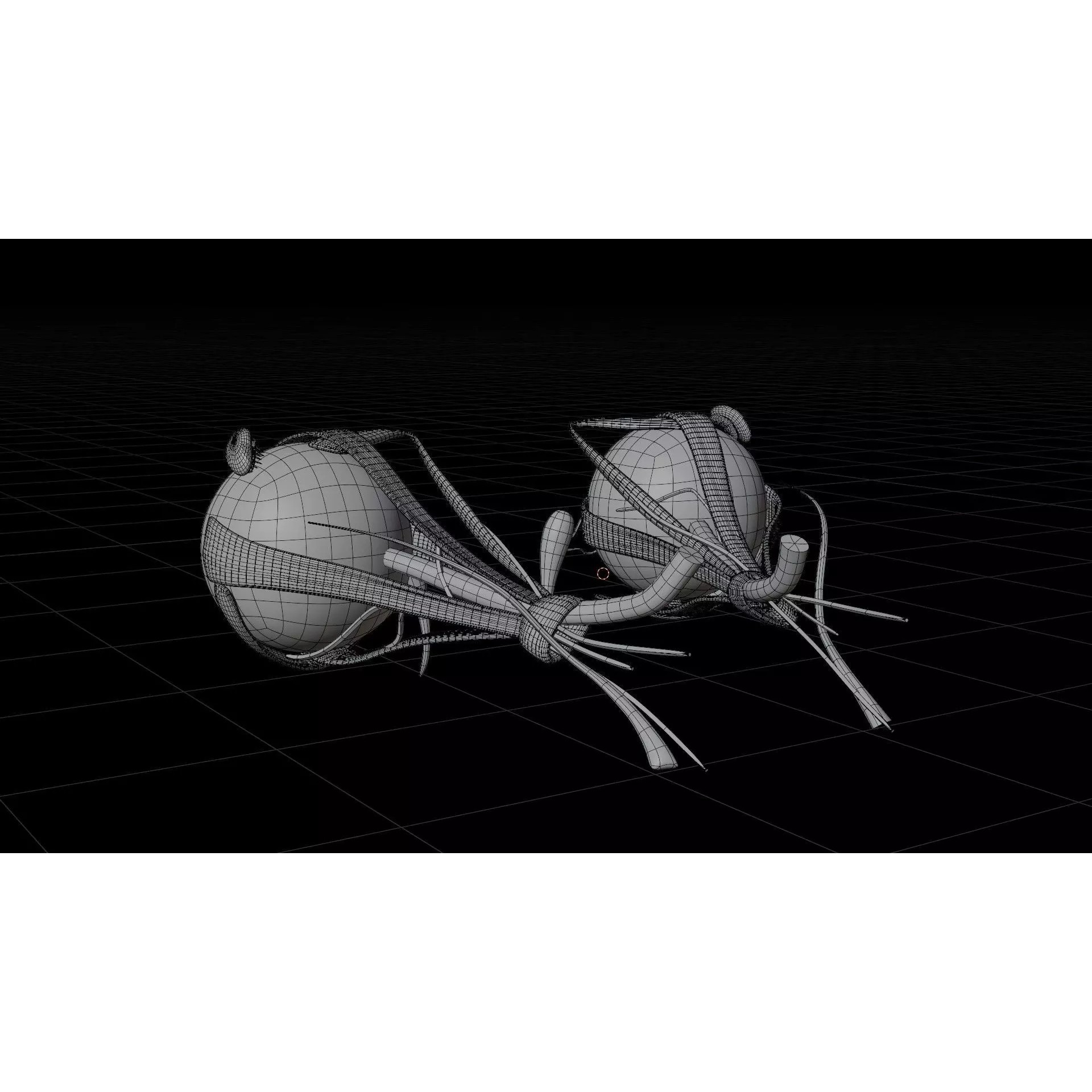 Human Eye Anatomy - Low-Poly 3D Model - View 6