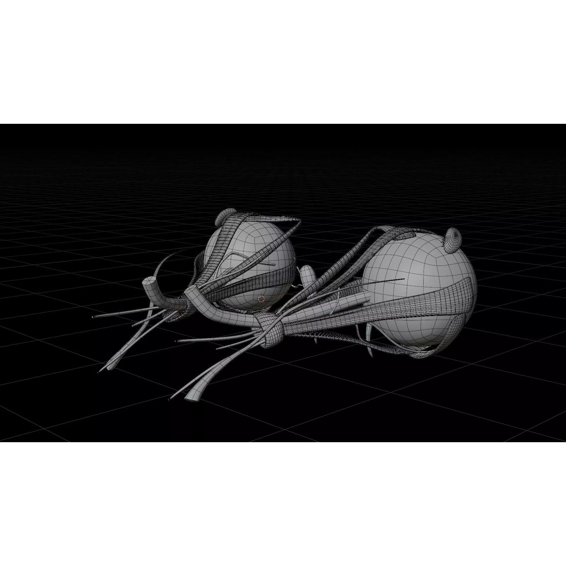 Human Eye Anatomy - Low-Poly 3D Model - View 7