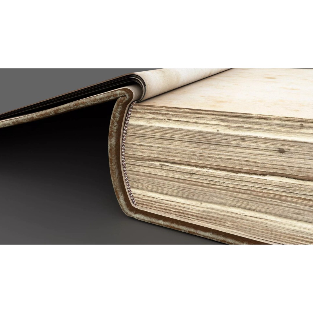 Old Book 3D Model – Rigged Animated Low-Poly with PBR Textures - View 17