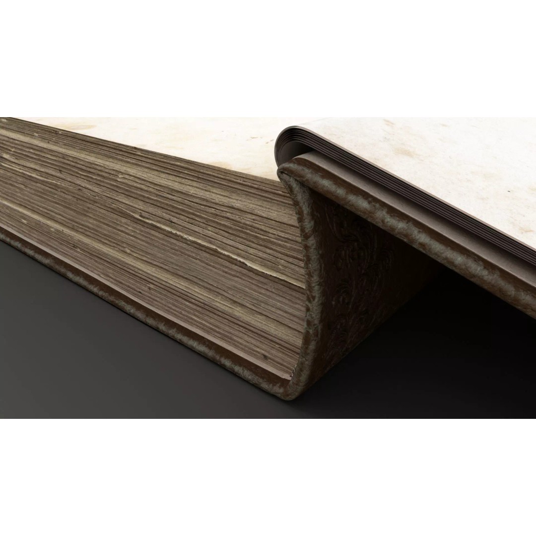 Old Book 3D Model – Rigged Animated Low-Poly with PBR Textures - View 18