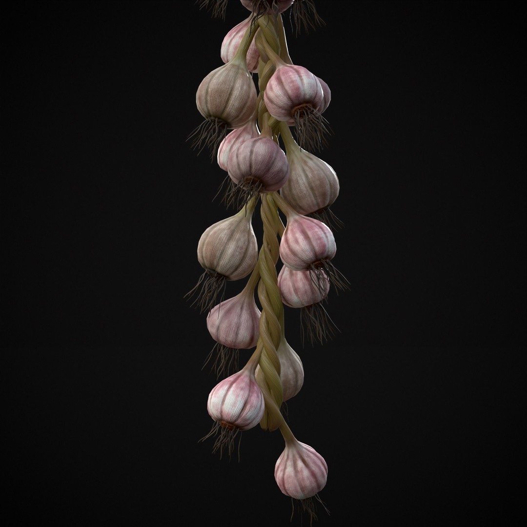 Hanging Garlic 3D Model – Low Poly PBR Asset, FBX & OBJ Formats - View 10