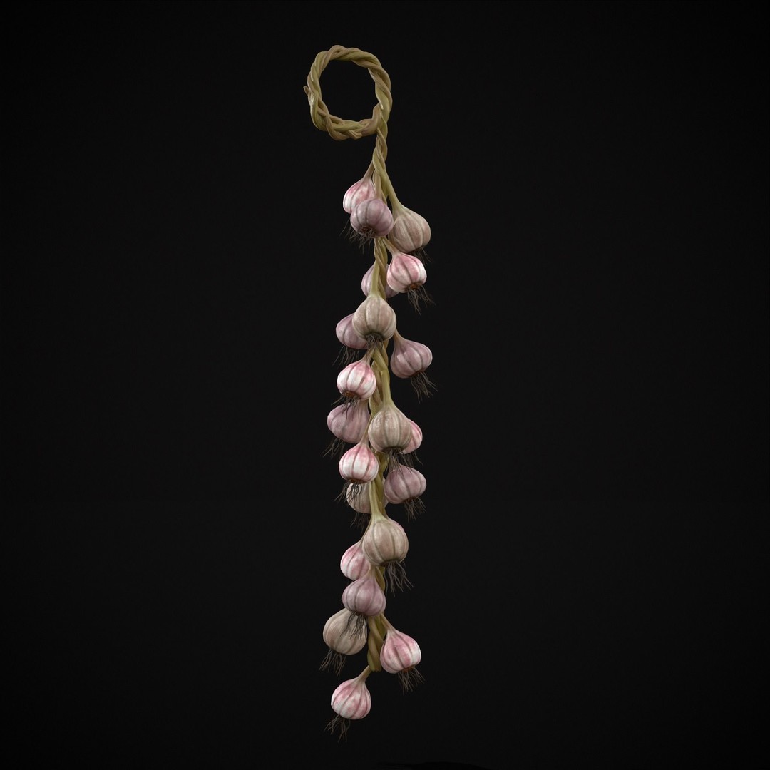 Hanging Garlic 3D Model – Low Poly PBR Asset, FBX & OBJ Formats - View 12