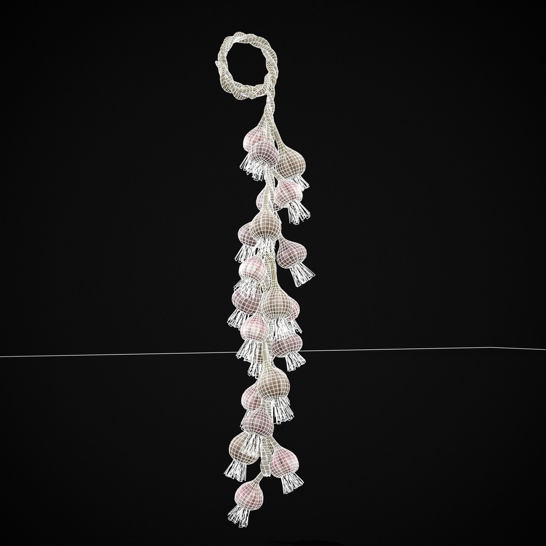 Hanging Garlic 3D Model – Low Poly PBR Asset, FBX & OBJ Formats - View 13