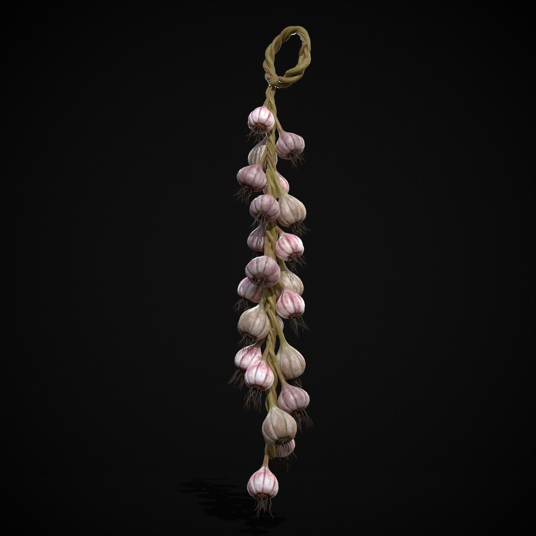 Hanging Garlic 3D Model – Low Poly PBR Asset, FBX & OBJ Formats - View 14